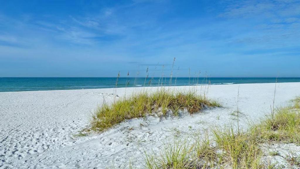 Beach Palms- Unit 102 Clearwater Beach Dış mekan fotoğraf